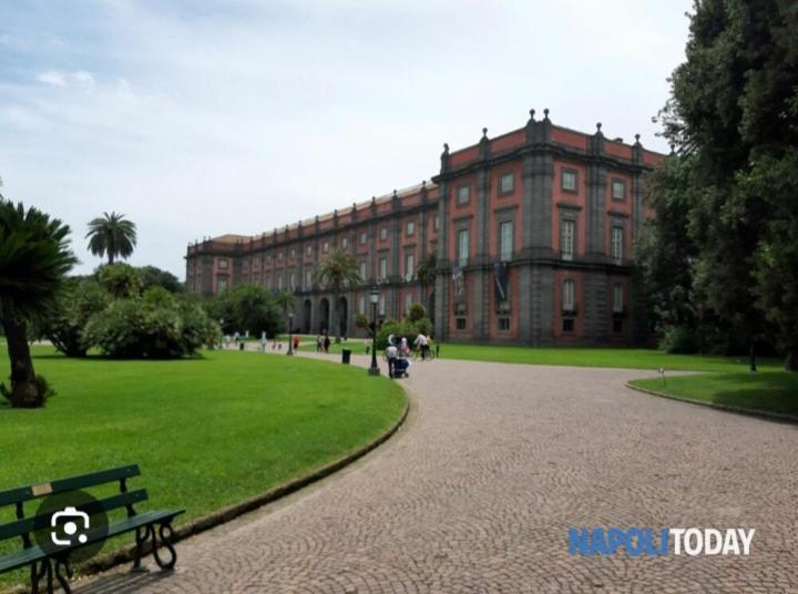 Chez Bois - Suite Apartment Capodimonte Napoli Dış mekan fotoğraf
